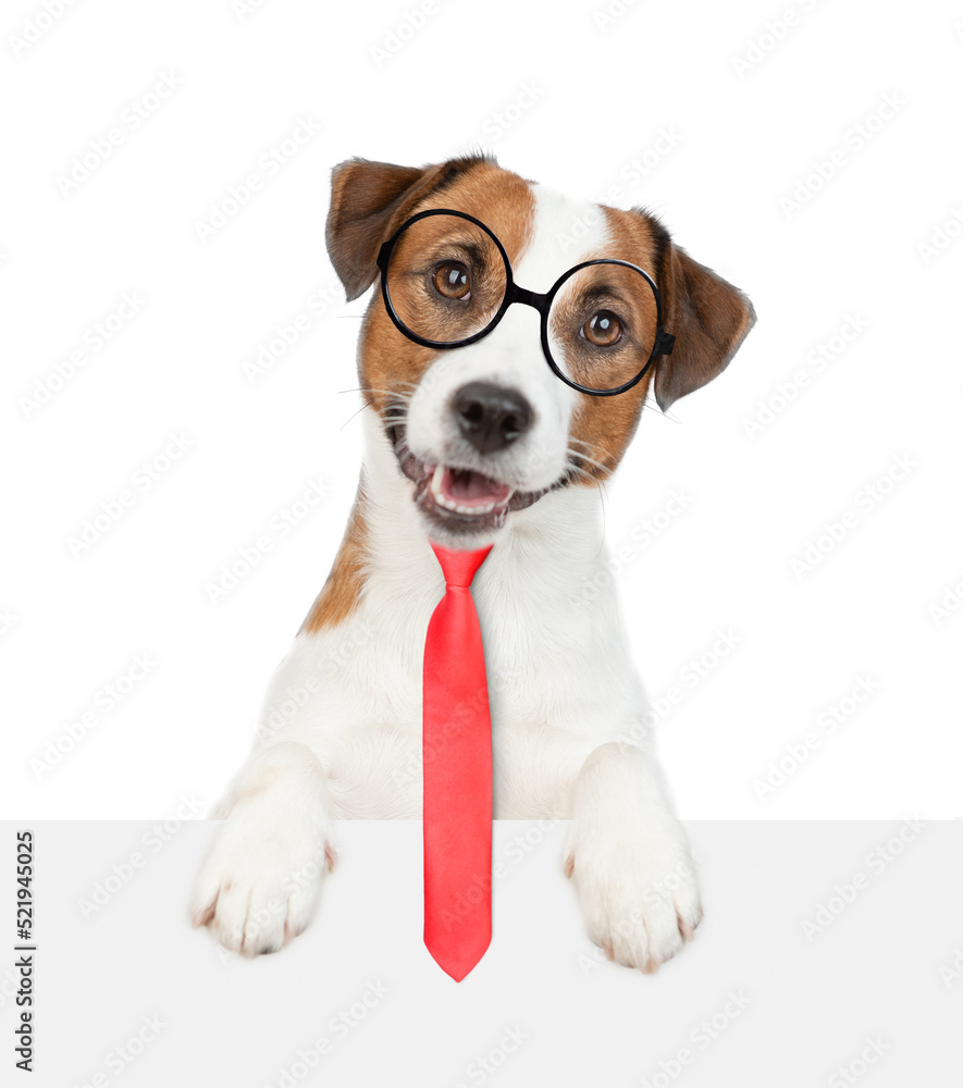 Smart Jack russell terrier puppy wearing necktie and eyeglasses looks above empty white banner. isolated on white background