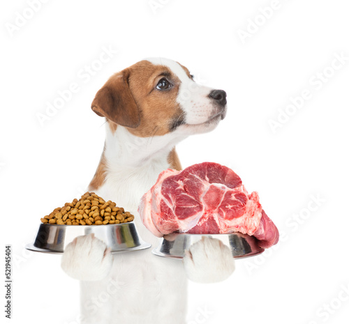 Jack Rusell puppy holds bowls with dry dog food and raw meat. isolated on white background photo