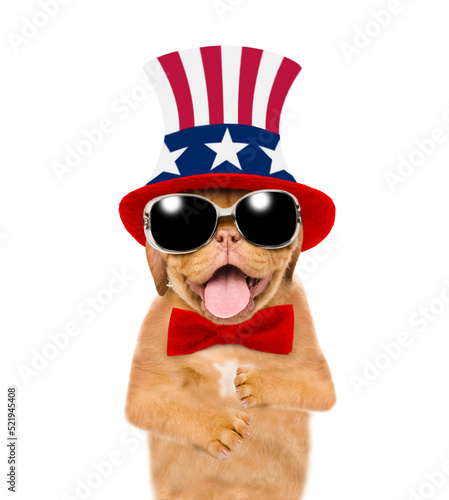 Happy Mastiff puppy wearing like Uncle Sam looks at camera. isolated on white background