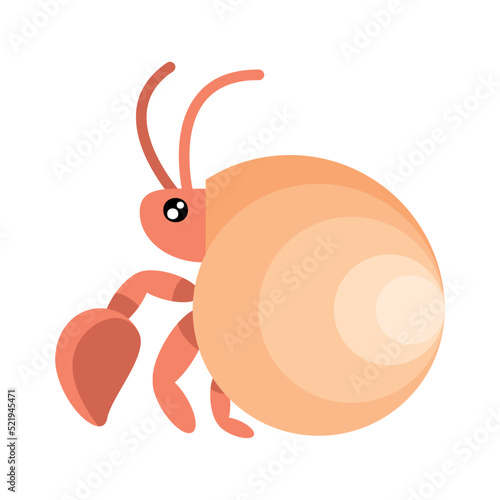 sea snail sealife animal