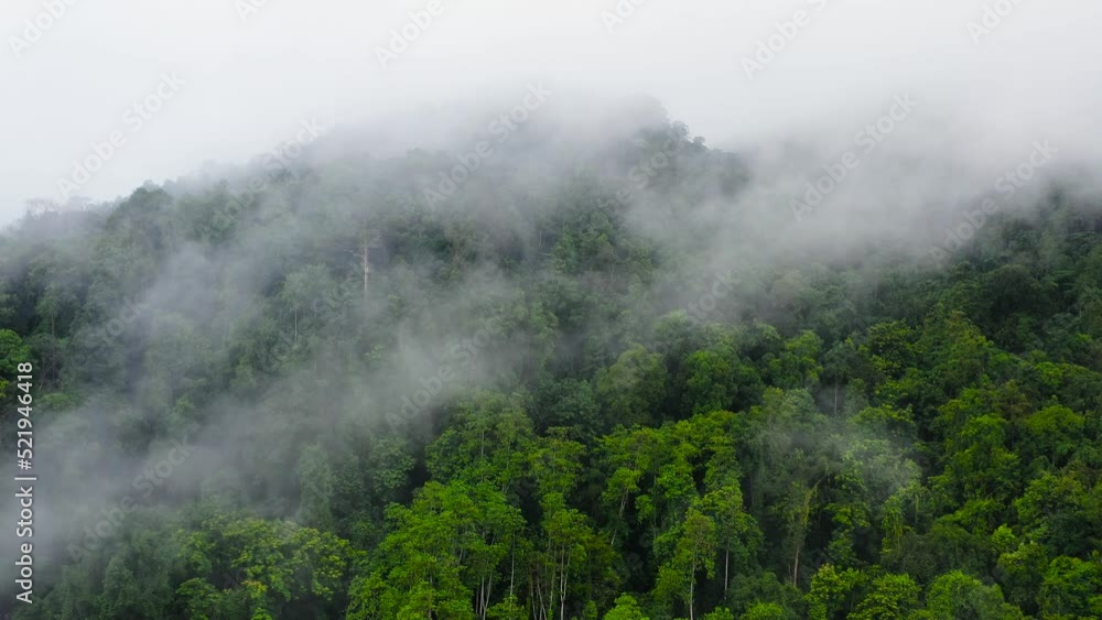 Aerial drone of green forest in the mountains covered with fog and clouds. Mystical landscape. Sri Lanka. Aerial drone of green forest in the mountains covered with fog and clouds. Mystical landscape. Sri Lanka.