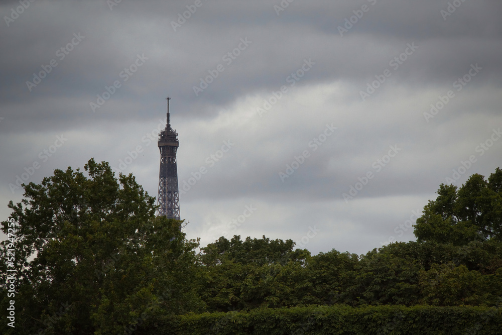 view of paris with the effeil tower