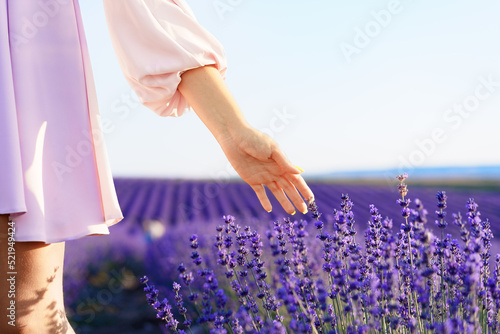 Girl's hand touching the folowers in lavender field photo