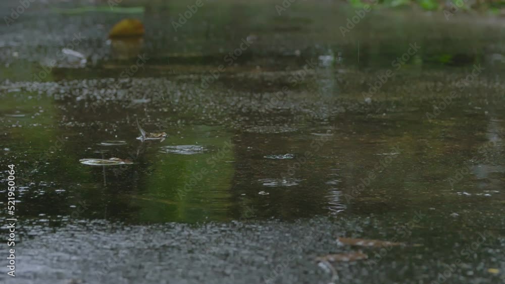 Rain fall on the ground. Water drop on concrete floor. Rain fall on the ground. Water drop on concrete floor.