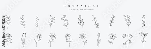 Set botanical hand drawn vector element. Collection of foliage, leaf branch, floral, flowers, roses, lily in line art. Minimal style blossom illustration design for logo, wedding, invitation, decor.