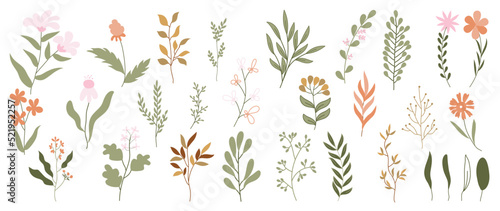 Collection of floral elements in flat color. Set of spring and summer wild flowers, plants, branches, leaves and herb. Hand drawn of blossom vectors for decor, website, graphic and shop.