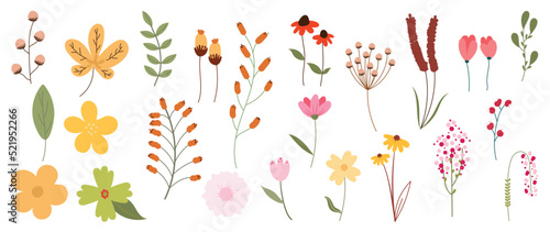 Collection of floral elements in flat color. Set of spring and summer wild flowers, plants, branches, leaves and herb. Hand drawn of blossom vectors for decor, website, graphic and shop.