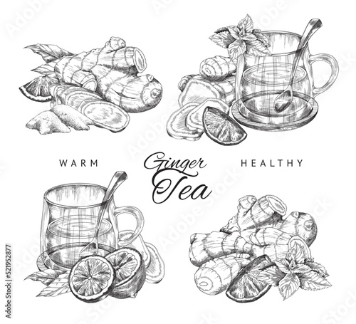 Warm and healthy ginger tea in hand drawn sketch style, vector illustration isolated on white background.