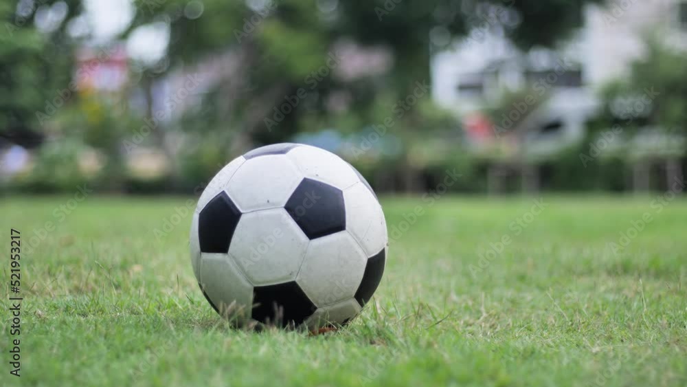 The children playing football in the field.Blur is required to protect copyright. The children playing football in the field.Blur is required to protect copyright.