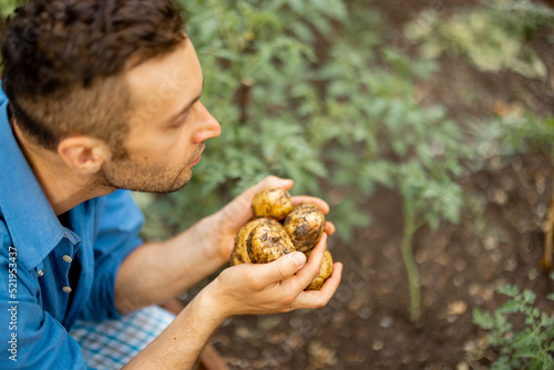 Man enjoys freshly dug potato on farmland. Concept of farming and growing organic food in garden