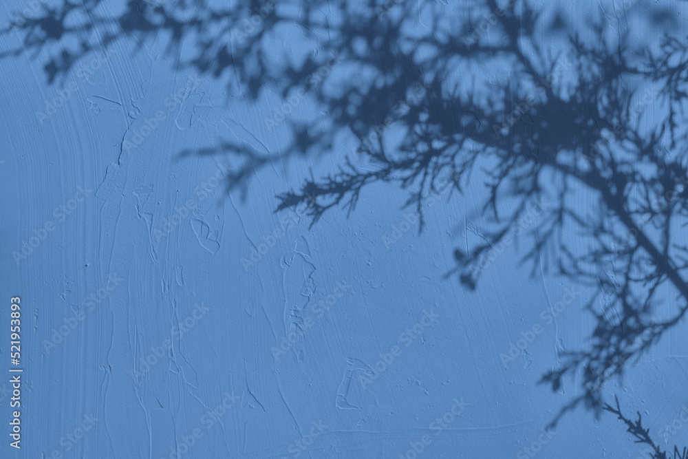 Shadow of leaves on pastel blue concrete wall texture with roughness and irregularities. Abstract trendy colored nature concept background. Copy space for text overlay, poster mockup flat lay 