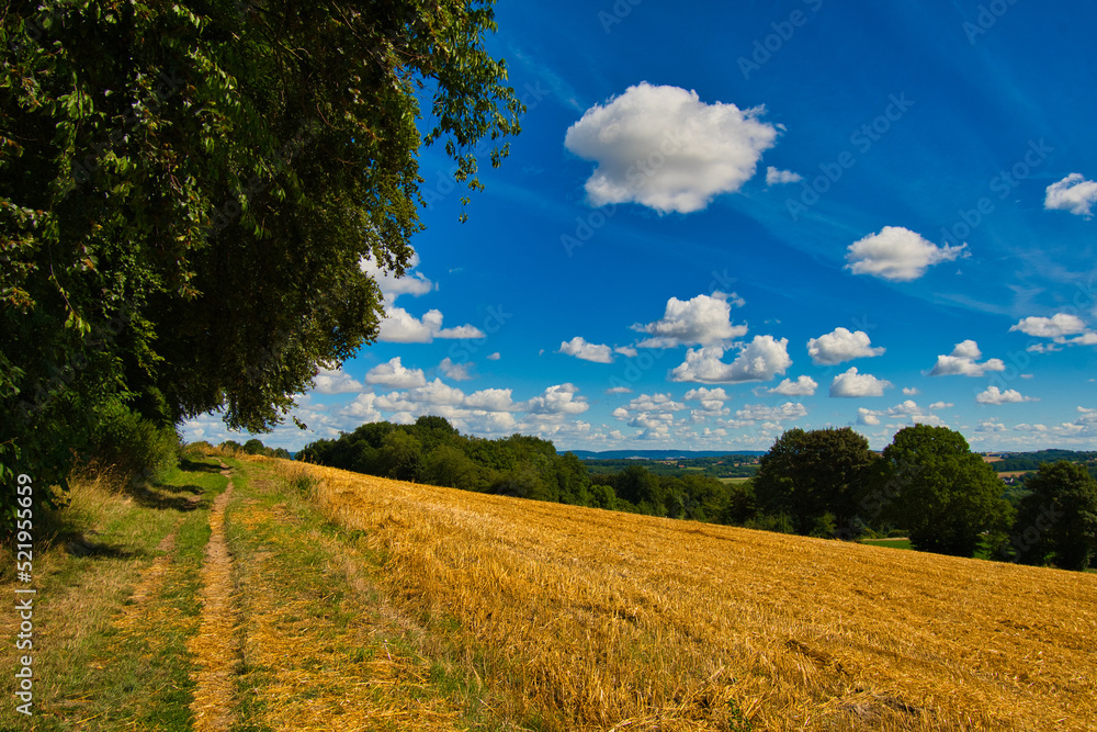 Naklejka premium Landschaft in Ostwestfalen nahe Herford