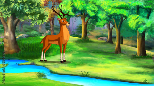 Deer near a forest stream illustration