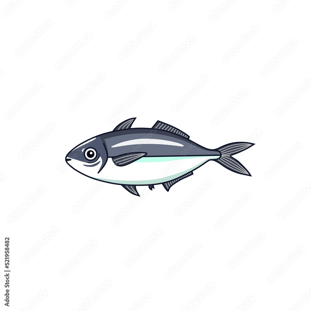 横から見た魚 横から見た魚