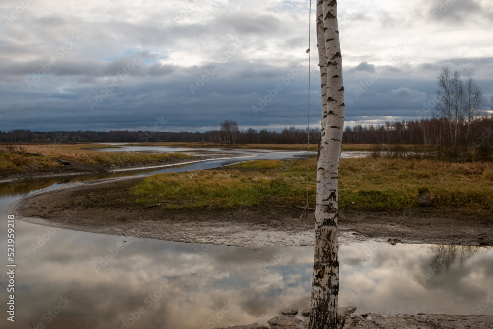 Obraz premium Autumn landscape with river bends on an autumn day. The birch grows on the banks of the river. The sky is reflected in the surface of the water