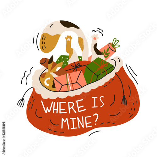 The cat is rummaging through Santa's bag with gifts. Where is mine quote. New year sticker with funny cat. Greeting card for holiday party. Flat style in vector illustration. Isolated object.