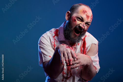 Dangerous looking halloween zombie attacking camera over blue background, brain eating scary corpse with bloody wounds. Frightening cruel monster with eerie apocalyptic look being creepy.