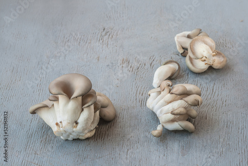 Oyster mushrooms on a gray table