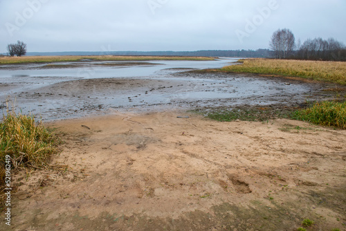 Sandy beach on a small parched forest river in an autumn evening