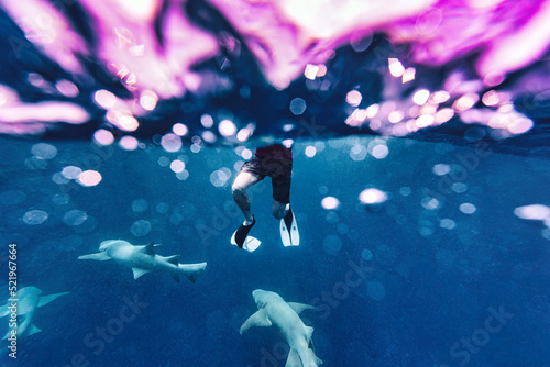 Man with nurse sharks in sea photo