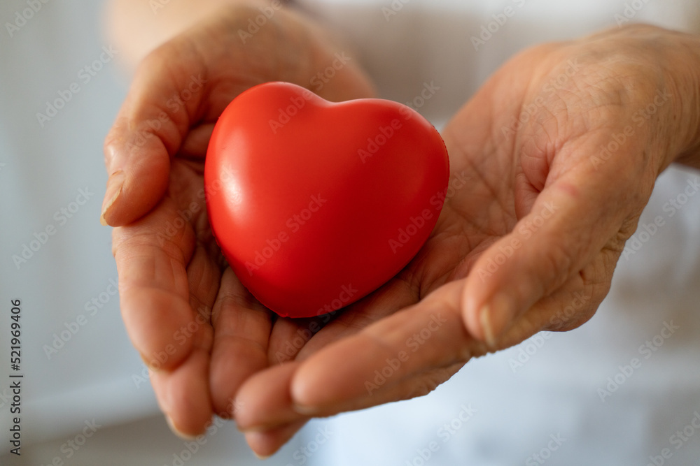 Grandmother woman hands holding red heart, healthcare, love, organ donation, mindfulness, wellbeing, family insurance and CSR concept, world heart day, world health day, national organ donor day Grandmother woman hands holding red heart, healthcare, love, organ donation, mindfulness, wellbeing, family insurance and CSR concept, world heart day, world health day, national organ donor day