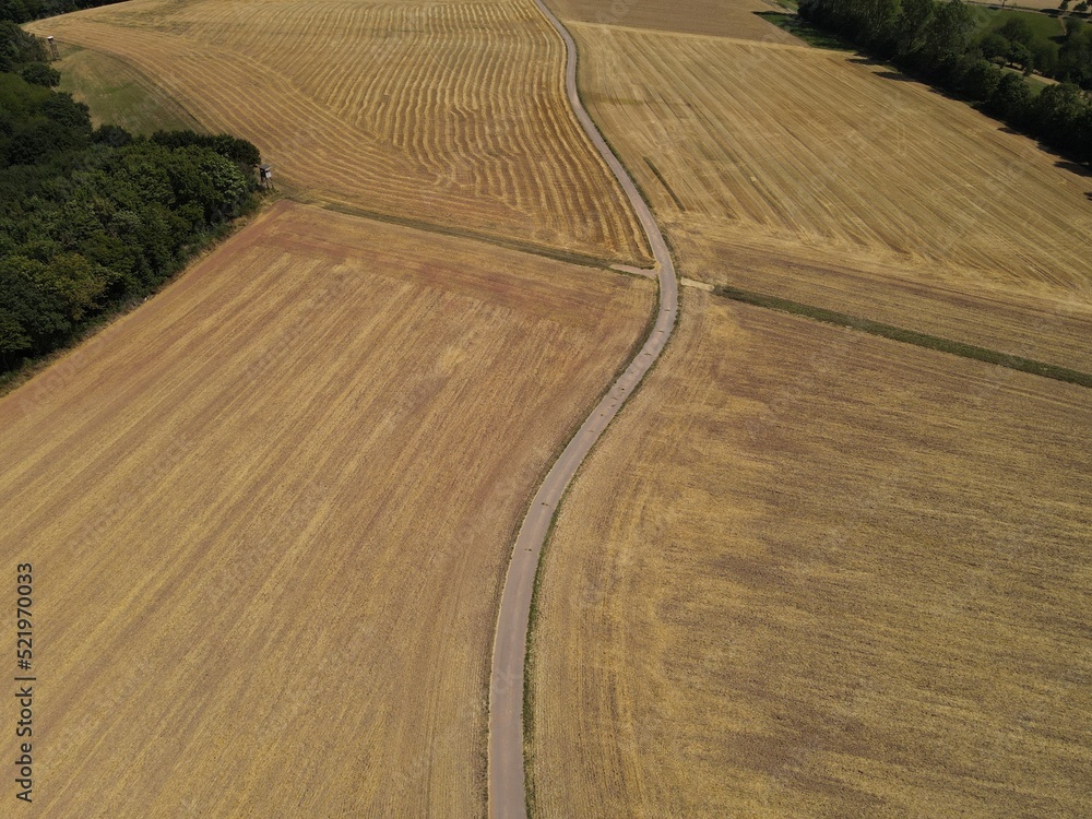 View from above of a pathway between mowed grain fields and wheatfields in summer 