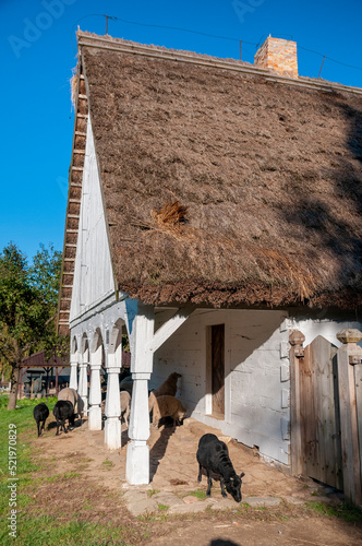 Kujavian-Dobrzyn Ethnographic Park. Klobka, Kuyavian-Pomeranian Voivodeship, Poland. photo