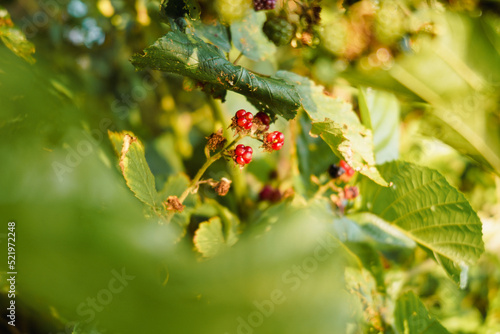 Waldspaziergang