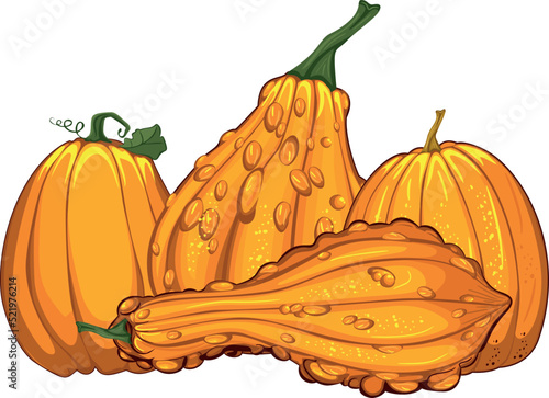 autumn vegetables pumpkins thanksgiving day