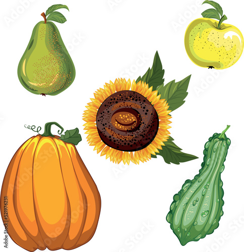 autumn vegetables pumpkin sunflower pear apple