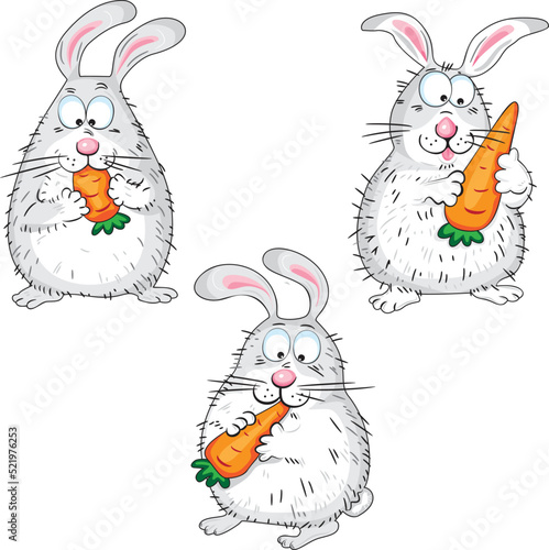 rabbit and carrot