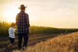 young boy holding hand with his father and walking outdoor in wheat field