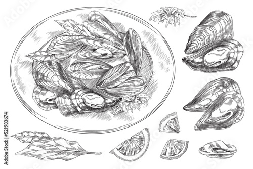 Mussel seafood dish ingredients set engraving vector illustration isolated.