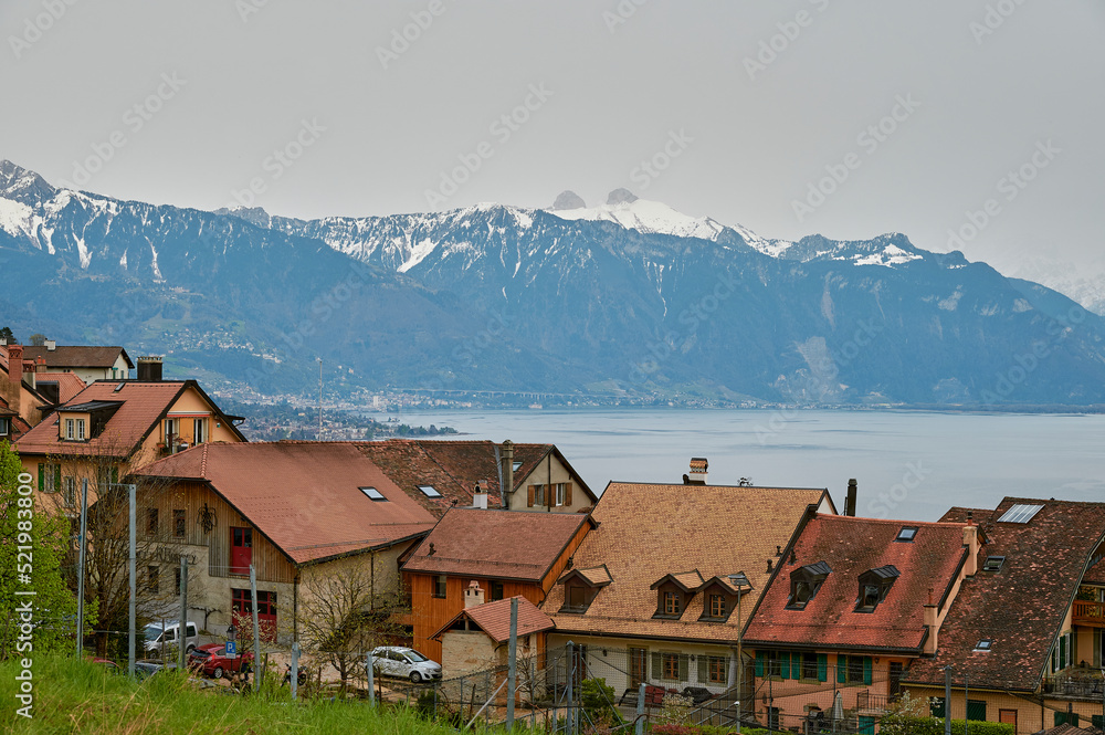 Vineyard terrace, Lavaux, Switzerland