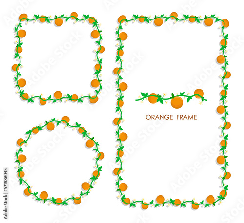 Set of golden round and square frames with fruit and blossoming orange branches. Weave border isolated on white background. Vector