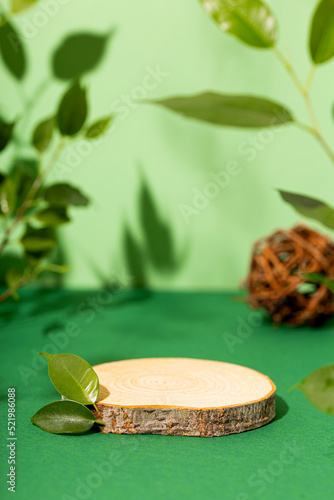 Fototapeta Naklejka Na Ścianę i Meble -  Minimal modern product display on green background. Wood slice podium and green leaves. Concept scene stage showcase for new product, promotion sale, banner, presentation, cosmetic, vertical photo