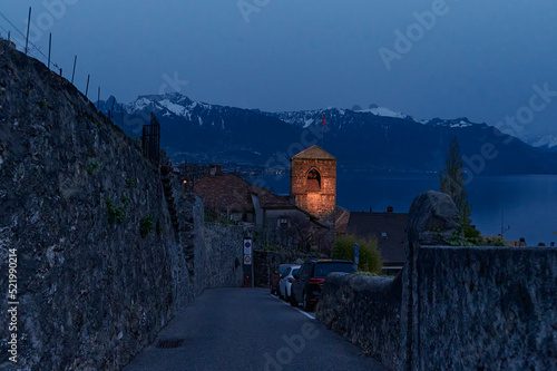 The landscape of Saint-Saphorin at night photo