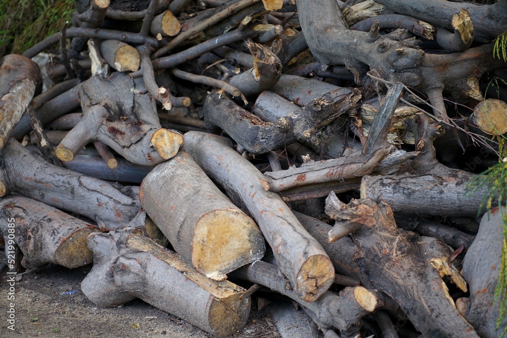 The image of a log used to make a fire The image of a log used to make a fire