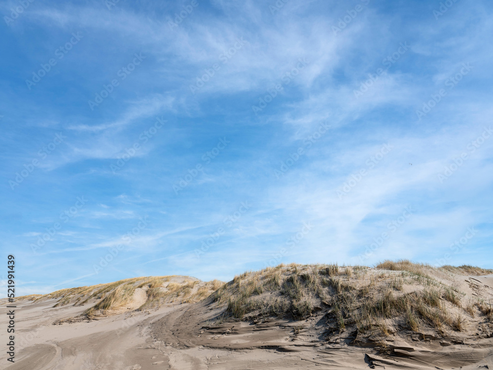 Dunes North Holland, Noord-Holland province, The Netherlands