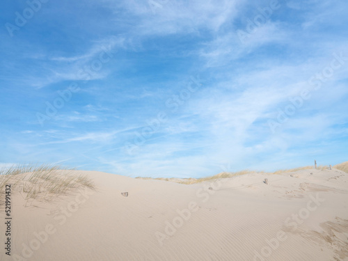 Fototapeta Naklejka Na Ścianę i Meble -  Dunes North Holland, Noord-Holland province, The Netherlands