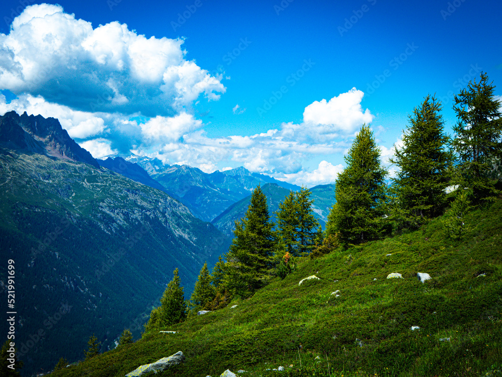 Obraz premium landscape with sky