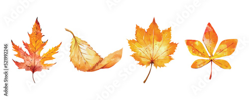 Collection of watercolor autumn leaves vector design