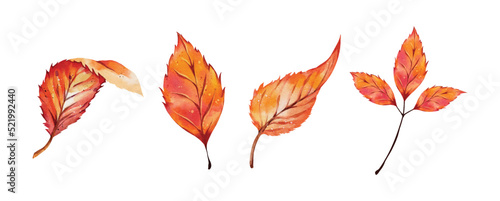 Set of watercolor autumn leaves vector isolated on white background
