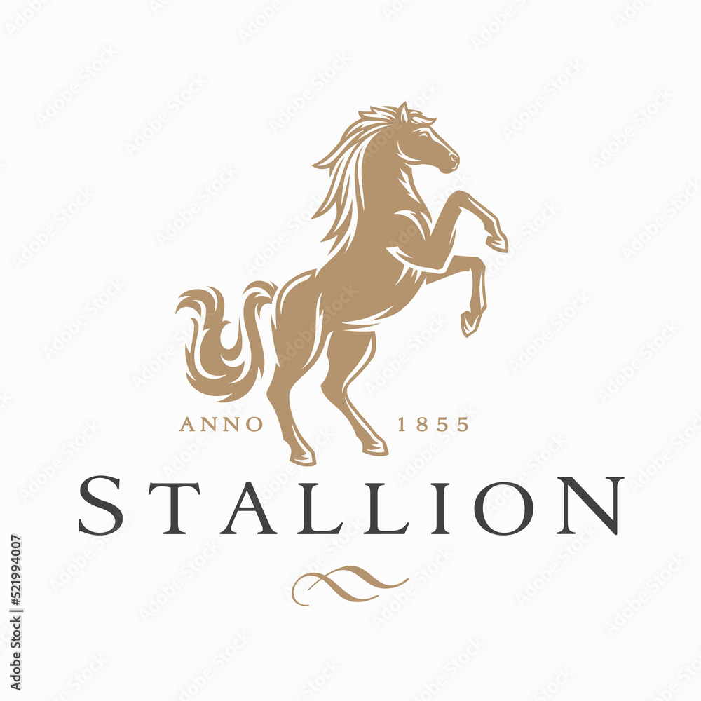 Horse logo. Stallion emblem. Wild mustang rearing icon. Luxury equine estate brand identity. Gold equestrian label design. Vector illustration. - obrazy, fototapety, plakaty 