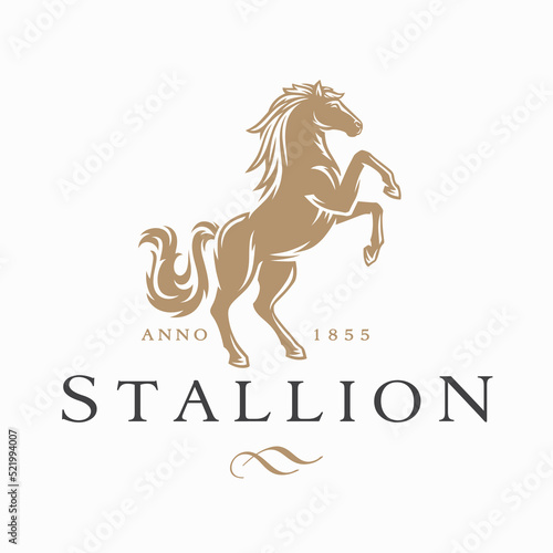 Horse logo. Stallion emblem. Wild mustang rearing icon. Luxury equine estate brand identity. Gold equestrian label design. Vector illustration.