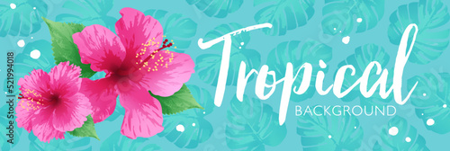Tropical background decorated with hibiscus flowers and tropical leaves on light green background. Template for fashion ads, horizontal poster and social media