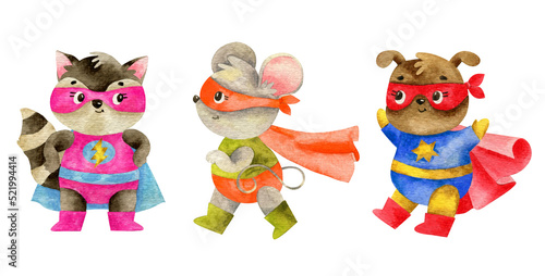A cute super hero animals - racoon, mouse, dog - watercolor illustration. Super hero funny animals with funny costume and mask in cartoon style.