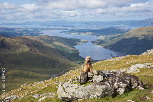Fotografie dog posing on rocks in front of lakes and hilly landscape