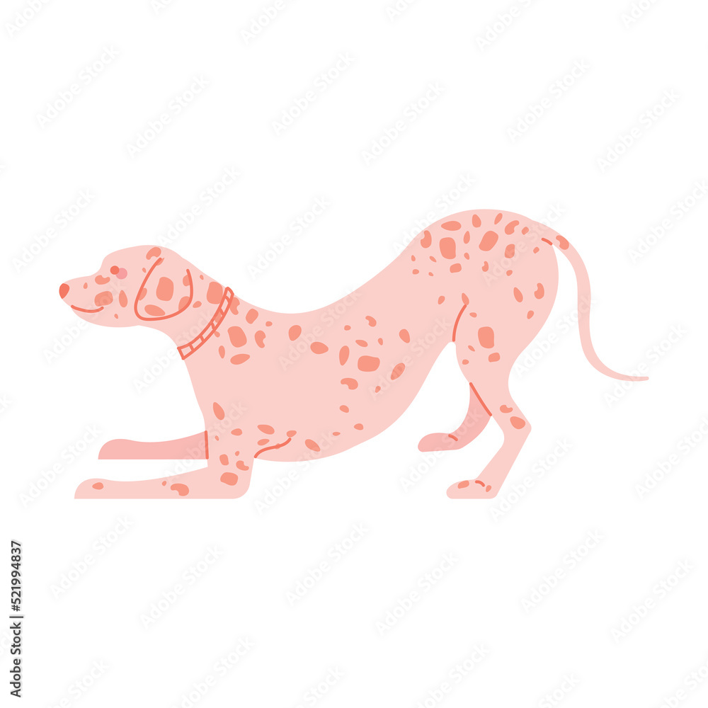 Fototapeta premium Doodle Dalmatian Dog. Playful Dog in cute cartoon style. Vector illustration on white background.