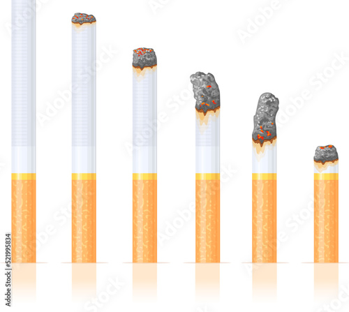 Burn cigarette stages. Burning cigarettes filter tobacco ashes, fire white cigar butt toxic ash products, quit smoke addiction smoker dependence, isolated neat vector illustration